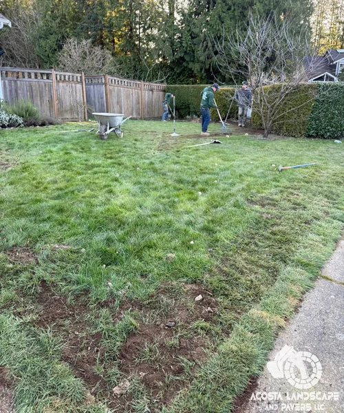 Lawn Care & Sprinkler System Installation in Lynnwood 